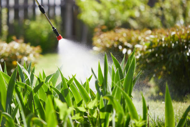 24/7 Emergency Termite Control experts in Matheny, CA